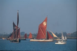 Barges at Brightlingsea
