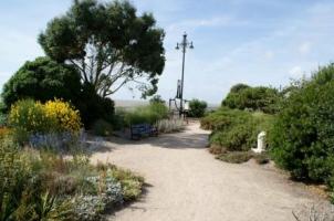 Mediterranean Garden