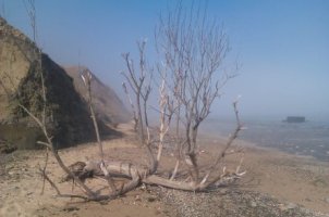 Misty Beach at Walton by Michael Cross