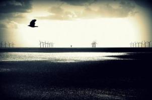 Wind Far scene off Clacton on Sea by Kelsie Low