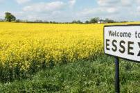 Welcome to Essex sign